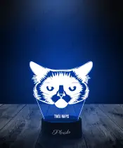 Lampka LED 3D Plexido Kot Grumpycat