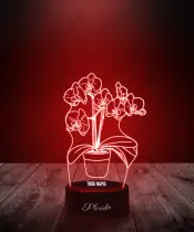 Lampka LED 3D Plexido Kwiaty Orchidea Storczyk - 3