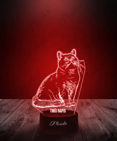 copy of 3D LED Lampe Plexido Geschenk Panzer Kampffahrzeug - 1