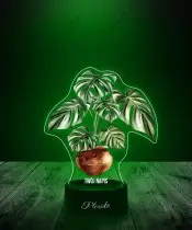 Lampka LED 3D z Nadrukiem Kwiat Monstera