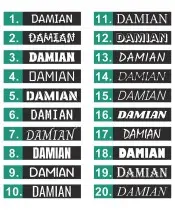 Illuminated Driver's License Plate for Truck Bus Your Own Premium Design