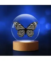 Kryształowa Kulka 3D Motyl