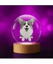Kryształowa Kulka 3D Pies Corgi