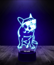 lampka_led_3d_plexido_buldog_w_okularach